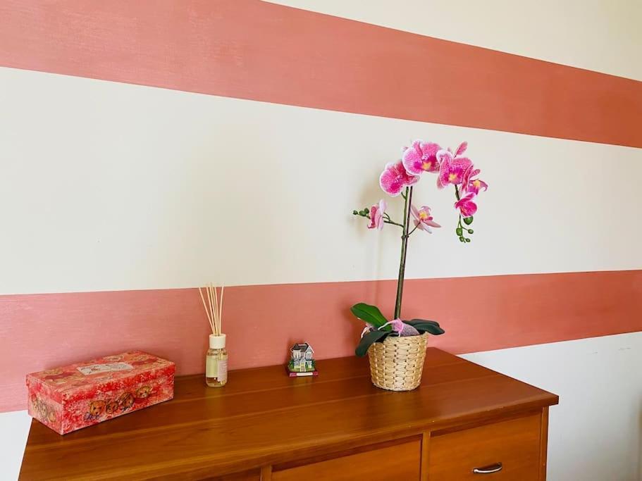 Appartamento La Casa Di Aida San Maurizio Canavese Esterno foto